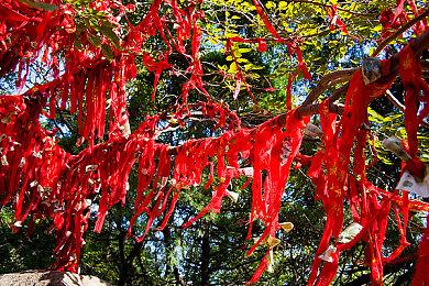 《感官足球》精神续作《社交足球》登陆主机和PC 2022年4月17日发售